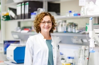 Königsmark Königsmark